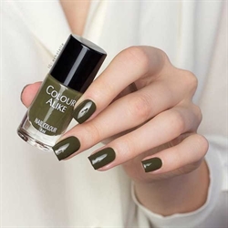 672 Martini Olive, Around the Fashion, Colour Alike